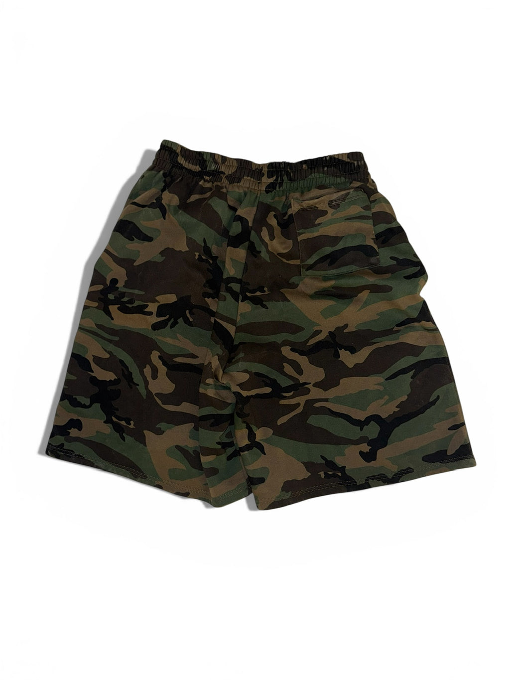Dragon Sweatshorts