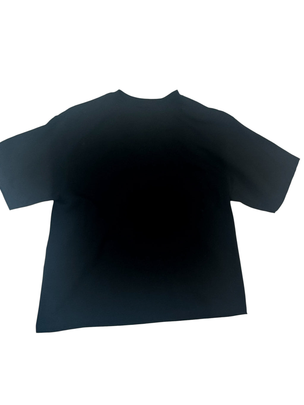 Wings Tee